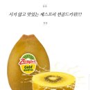 다름 과일 이미지