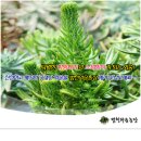 범천농장 이미지