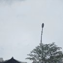 남대문대형약국 이미지