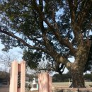 함덕초등학교선흘분교 이미지