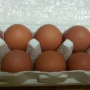 알이랑농장 이미지