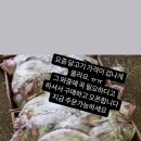 푸리미엄 이미지