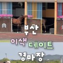부산도시철도 낫개역 | 부산 이색 데이트 추천 : 렛츠런파크 부산경남 경마장 후기(+무료입장,배팅방법)