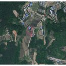 건영태양광발전소 이미지