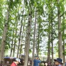 청봉