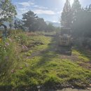 사천우주항공부동산공인중개사사무소 | 🌾 사천시 용현면 신촌리 임야 매매 🌾