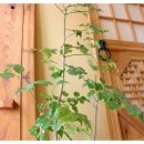 성원환경인테리어 이미지