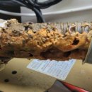 세한약품 이미지