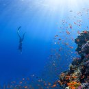 감성글씨, 캘리그라피 작품만들기 이미지