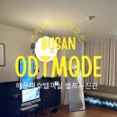 해운대 셀프사진관 추천, 호텔 객실에서 프라이빗하게 찍은 오디티모드 후기