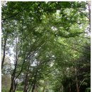 남선목장 이미지