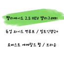 현대 | 팰리세이드 출고후기 [현대자동차안산상록]