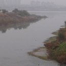 양섬야구장 이미지