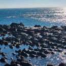 경주펜션 맛집 추천 해피데이 이미지