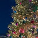 세븐일레븐 성남은행빌리지점 | 자매 도쿄 여행 4일차 - 우에노, 요코하마, 신주쿠