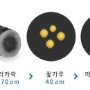 연소자연농장 이미지