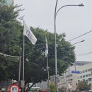 양재역 7번출구 옆 | 양재 횟집 / 내돈내산 양재역 횟집 바다고기 개인적 후기