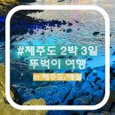 어멍농수산 | [제주도/애월] 여자 둘이 겨울 제주 2박 3일 데이트 코스 뚜벅이 ISFP 여행 맛집 놀거리 비용 (협재...