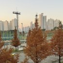 다정동저류지체육시설 이미지