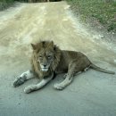 월드밸리 이미지