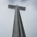 생명의 율동A 이미지