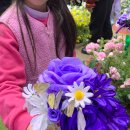 꿈꾸는 나비 | 에버랜드 겨울 필수 코스 나비의 꿈꾸는 정원