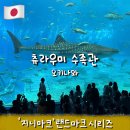 구매포유닷컴(www.gume4u.com) | 오키나와 츄라우미 수족관 주차장 예매 가격 돌고래 공연시간 꿀팁