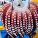 소영횟집 이미지