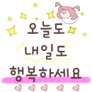 나그네손칼국수 이미지