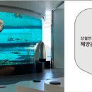 부산해양박물관 네이버블로그