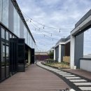 퍼피펜트하우스 이미지