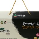 여수황칠