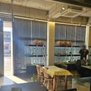 하이바이 강아지분양 고양이분양 수원점 이미지