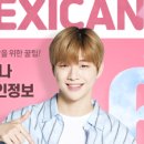 (주)멕시카나 - 송파구 | (주)멕시카나