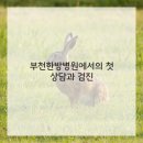 힐링한방병원 네이버블로그