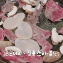사계표고버섯