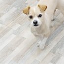 소답동237 이미지