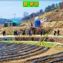 백두농장 이미지