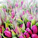 호남선 농장 이미지