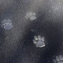 언제나너와 이미지