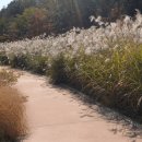 바다향기수목원(도서식물원) 이미지