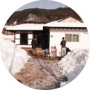 라울도비민박