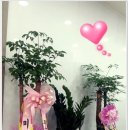 동감치과의원 이미지