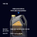 뉴신일자동차부분정비 | [출장엔진오일] 경기 화성 / 기아 더뉴 카니발(19~20년) 디젤