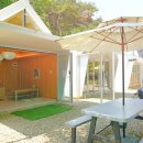 허밍버드 이미지