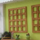 올리브펫 이미지