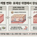 편안약국 네이버블로그