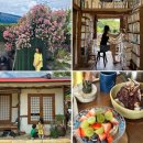 오곡마을(오곡발효마을) | 무주 카페 나무와 그릇 무주여행 아이랑 가볼만한곳 추천