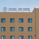 브라운도트2 이미지