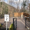 블루스테이 | [경기/가평] 애견동반 가능한 해먹있는 블루문캠핑장 | 스테이 2사이트 후기